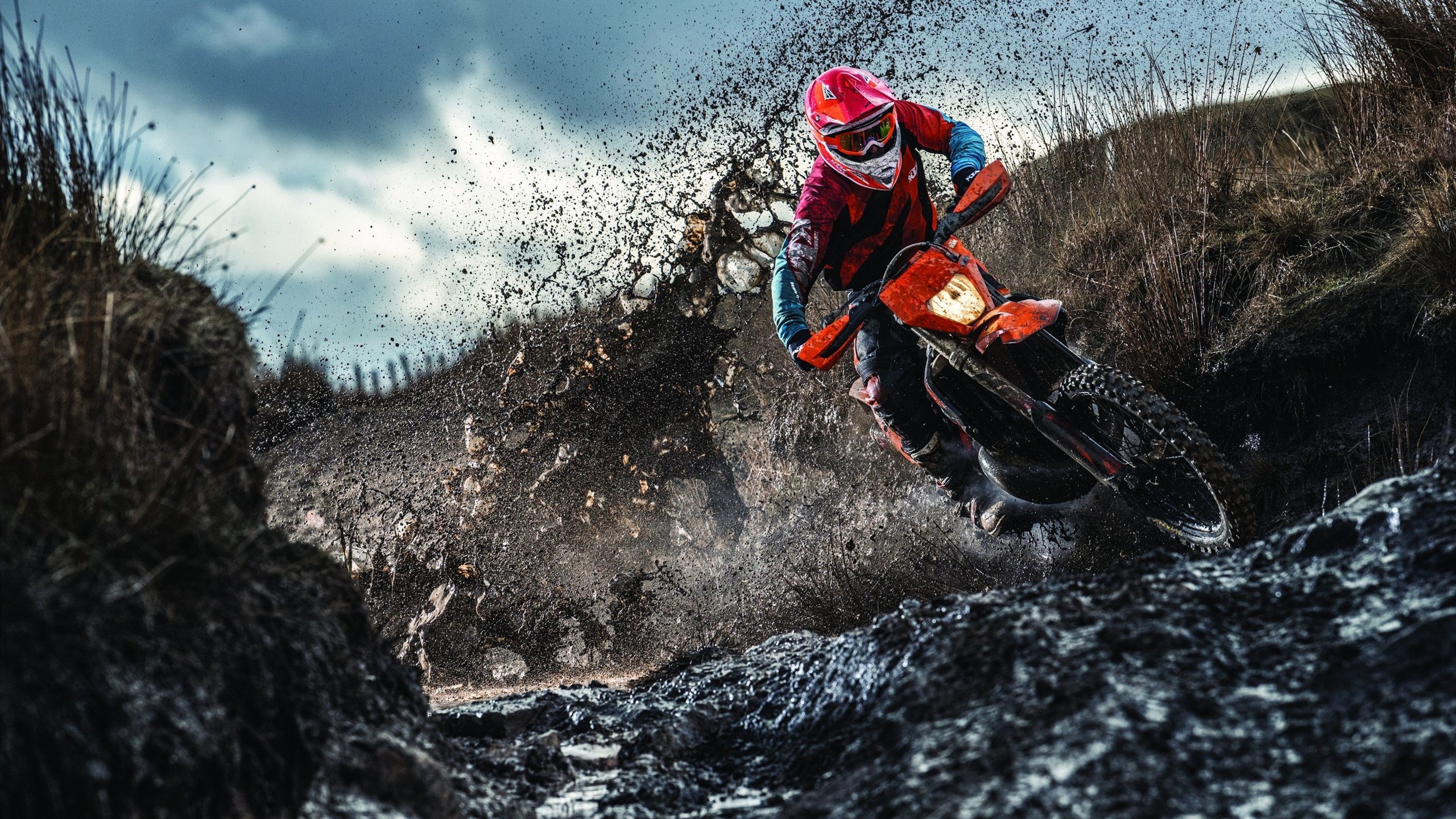 热刺球星究竟对弗兰克说了什么？热刺主帅被要求解雇两名“丢人现眼”的球员